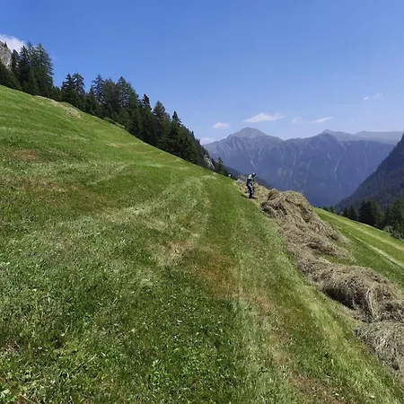 Haus Bergblick * Spiss