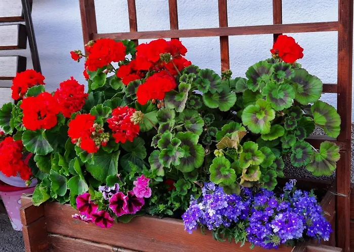 Haus Bergblick Apartmán